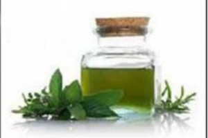 Best-Price-of-Fragrance-Peppermint-Oil