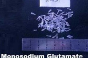 Monosodium-Glutamate-MSG-20-mesh-food-grade
